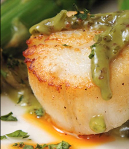 Seared scallop with herb sauce